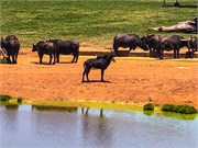 018-Joburg2Kruger