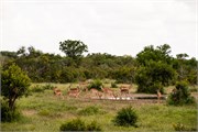 008-KrugerOrpenGate