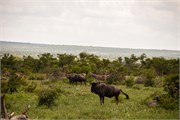 009-KrugerOrpenGate