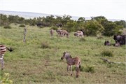 014-KrugerOrpenGate