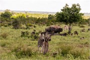 015-KrugerOrpenGate