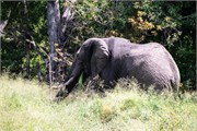 024-KrugerOrpenGate