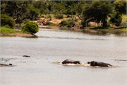 044-KrugerOrpenGate