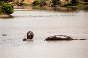 045-KrugerOrpenGate