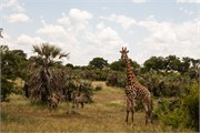 051-KrugerOrpenGate