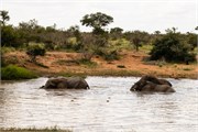 056-KrugerOrpenGate