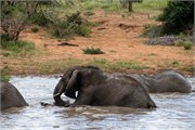 057-KrugerOrpenGate
