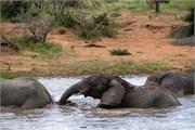 058-KrugerOrpenGate