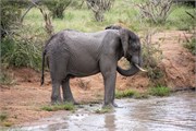 059-KrugerOrpenGate