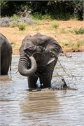 060-KrugerOrpenGate