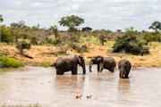 061-KrugerOrpenGate