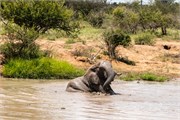 063-KrugerOrpenGate