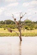 064-KrugerOrpenGate