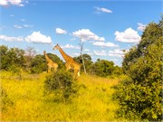 068-KrugerOrpenGate