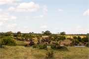 071-KrugerOrpenGate
