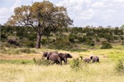 073-KrugerOrpenGate