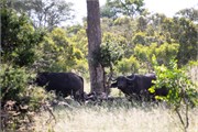 081-KrugerOrpenGate