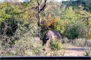 014-Tremisana2ndDrive