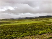 040-SaniPass2Lesotho