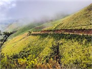 081-SaniPass2Lesotho