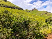 085-SaniPass2Lesotho