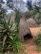 041-eSwatini