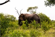 002-KrugerPhbaniGate1