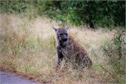 004-KrugerPhbaniGate1