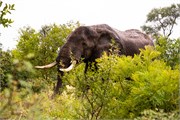 010-KrugerPhbaniGate1