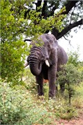 011-KrugerPhbaniGate1