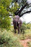 012-KrugerPhbaniGate1