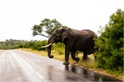 013-KrugerPhbaniGate1