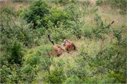 017-KrugerPhbaniGate1