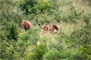 018-KrugerPhbaniGate1