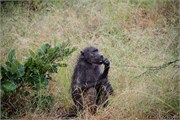 025-KrugerPhbaniGate1