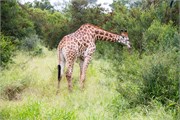 030-KrugerPhbaniGate1