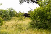 031-KrugerPhbaniGate1