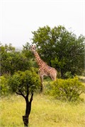 034-KrugerPhbaniGate1