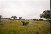 039-KrugerPhbaniGate1