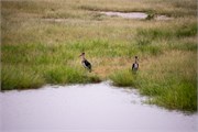 040-KrugerPhbaniGate1