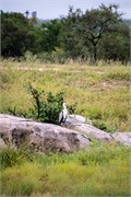 043-KrugerPhbaniGate1