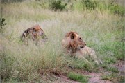 046-KrugerPhbaniGate1