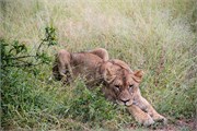 047-KrugerPhbaniGate1