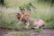 048-KrugerPhbaniGate1