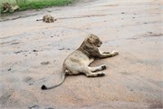 049-KrugerPhbaniGate1