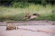 052-KrugerPhbaniGate1