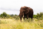 055-KrugerPhbaniGate1