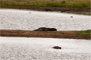 057-KrugerPhbaniGate1