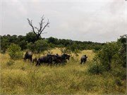 062-KrugerPhbaniGate1