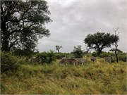 065-KrugerPhbaniGate1